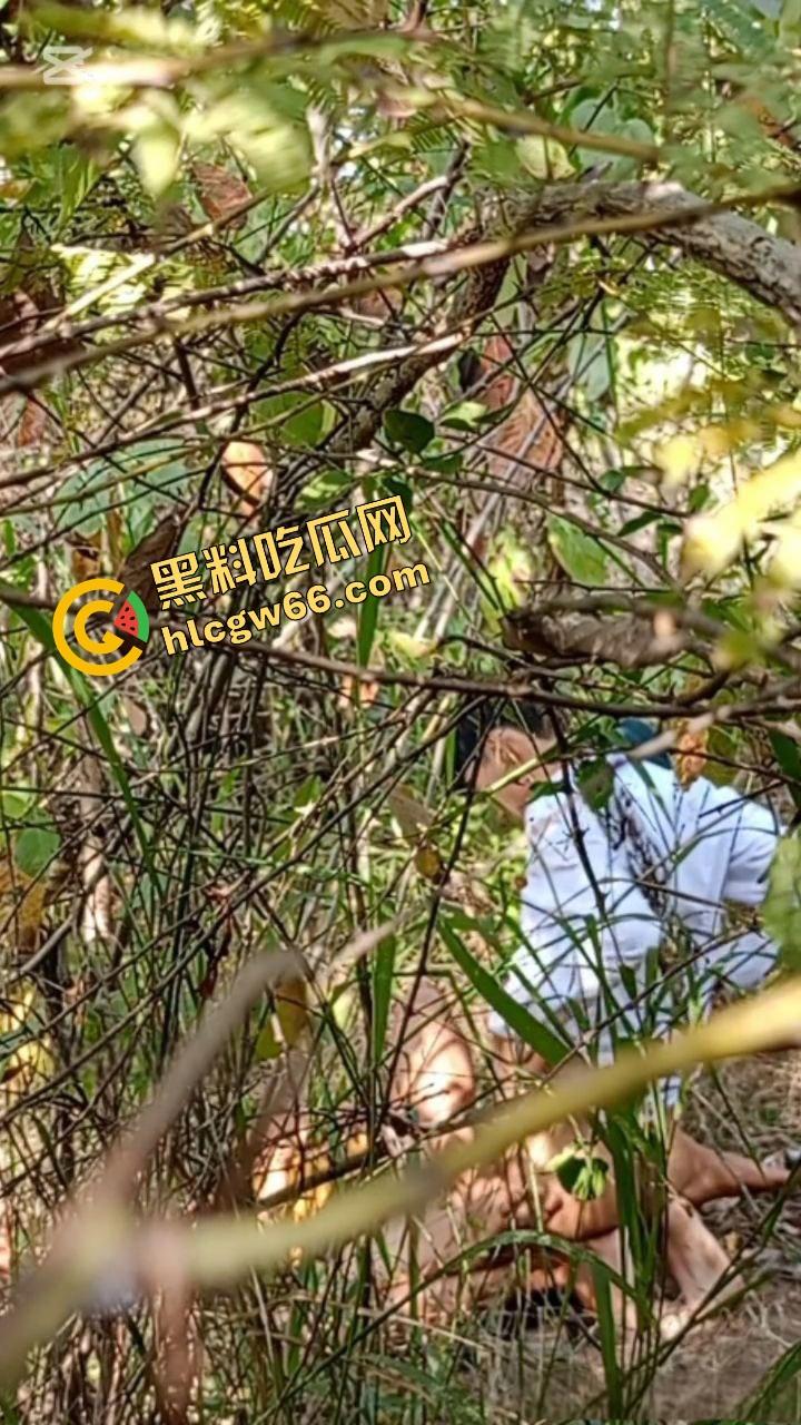 夏天的第一炮,小情侣树林野战开操果园大哥路过拍下全程,屁股抬得比桃子高,万物复苏逼也骚!