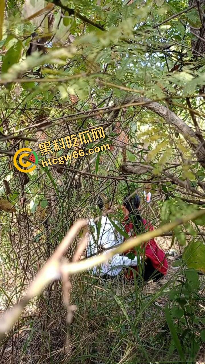 夏天的第一炮,小情侣树林野战开操果园大哥路过拍下全程,屁股抬得比桃子高,万物复苏逼也骚!