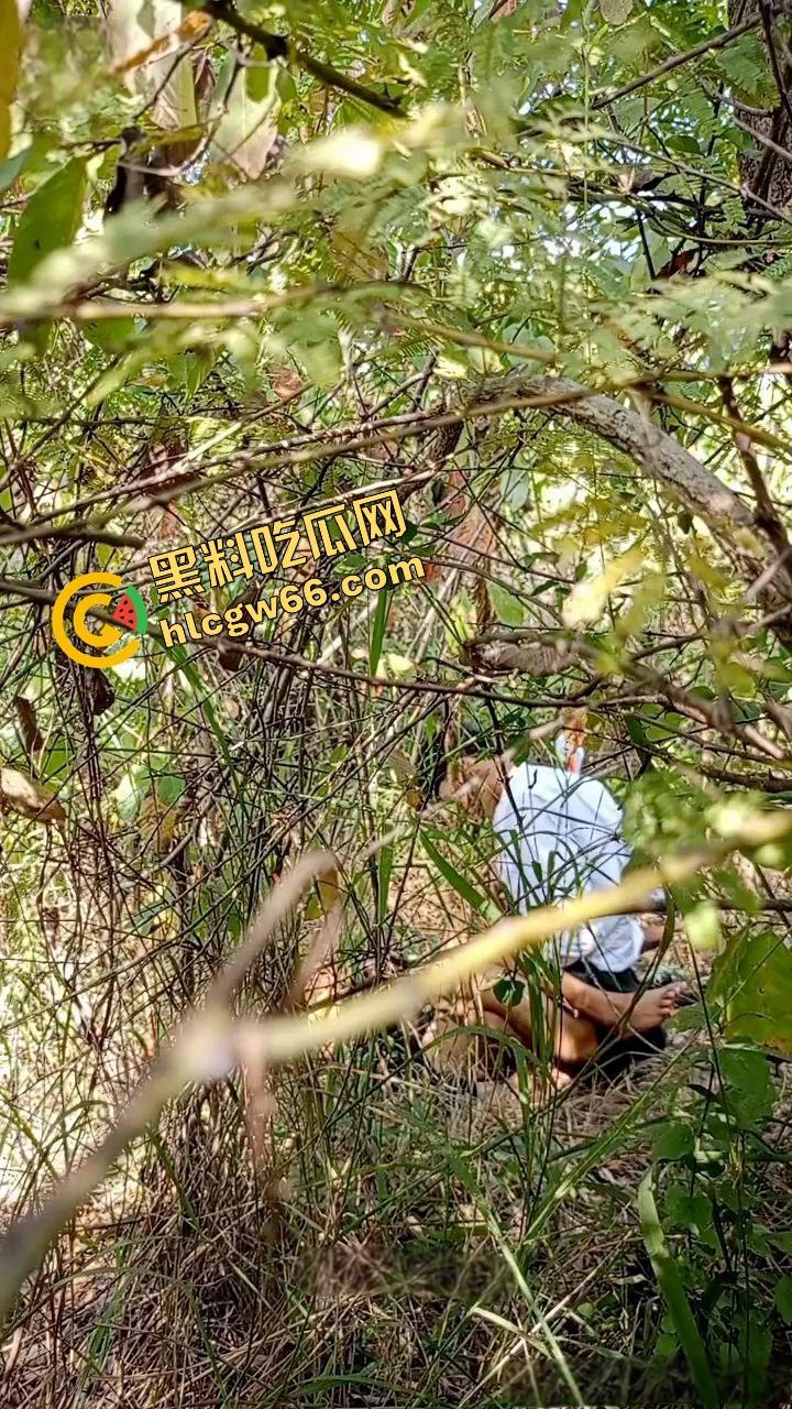 夏天的第一炮,小情侣树林野战开操果园大哥路过拍下全程,屁股抬得比桃子高,万物复苏逼也骚!