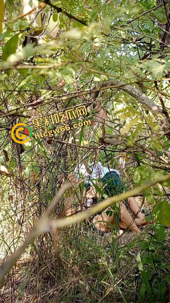 夏天的第一炮,小情侣树林野战开操果园大哥路过拍下全程,屁股抬得比桃子高,万物复苏逼也骚!