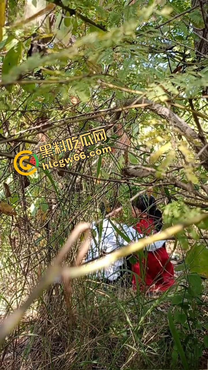 夏天的第一炮,小情侣树林野战开操果园大哥路过拍下全程,屁股抬得比桃子高,万物复苏逼也骚!