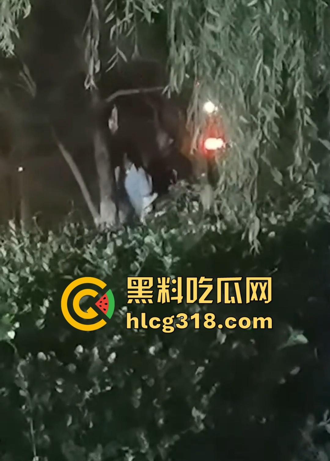 山东东营大爷大妈夜市小树林大战!直立后入爆操,激烈而迅猛,但仅仅只维持了一分多钟就潦草收场!