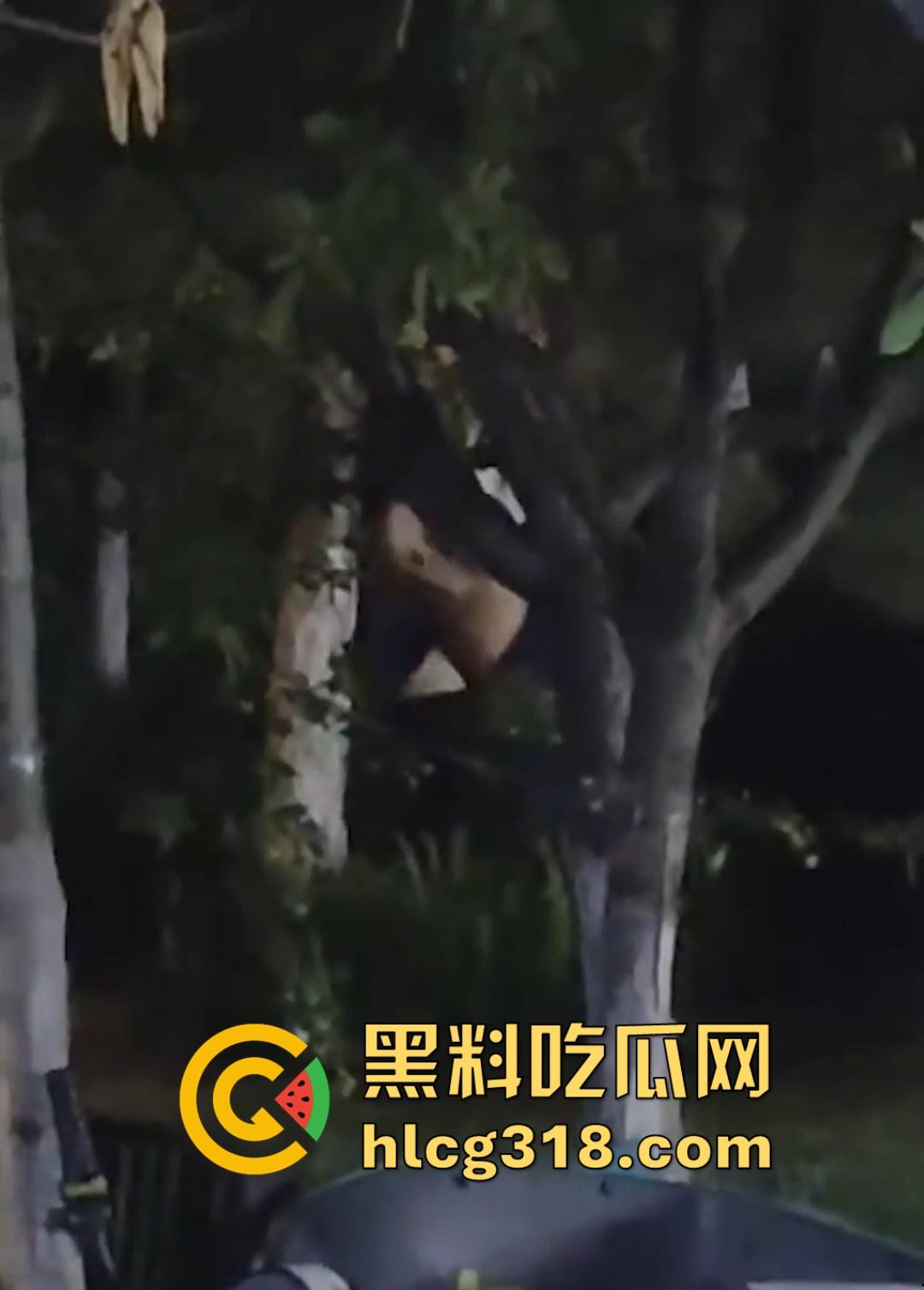 山东东营大爷大妈夜市小树林大战!直立后入爆操,激烈而迅猛,但仅仅只维持了一分多钟就潦草收场!