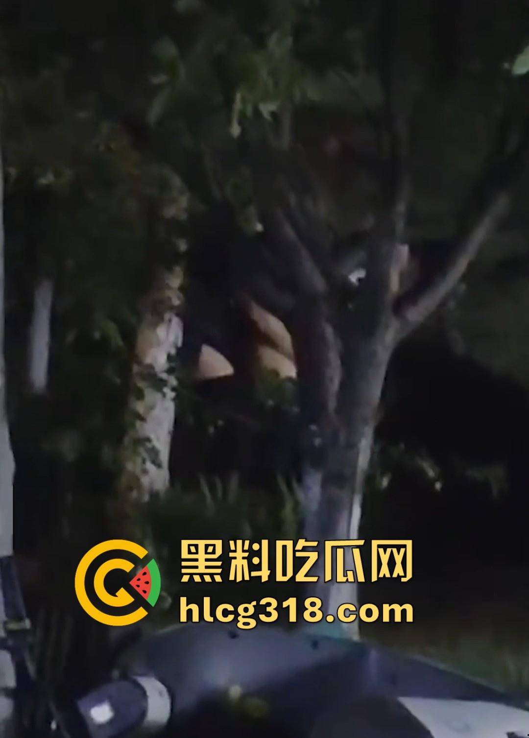 山东东营大爷大妈夜市小树林大战!直立后入爆操,激烈而迅猛,但仅仅只维持了一分多钟就潦草收场!