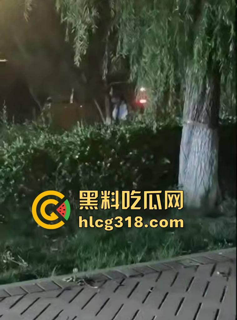 山东东营大爷大妈夜市小树林大战!直立后入爆操,激烈而迅猛,但仅仅只维持了一分多钟就潦草收场!