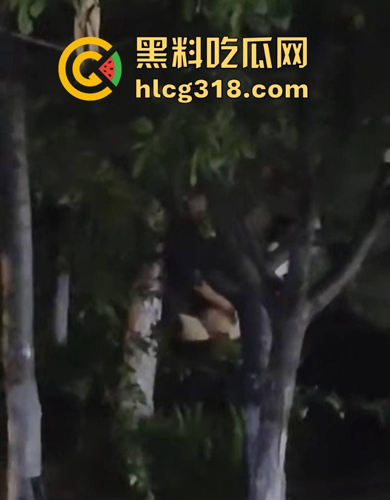 山东东营大爷大妈夜市小树林大战!直立后入爆操,激烈而迅猛,但仅仅只维持了一分多钟就潦草收场!